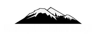 Nuevo_Logo_ PWCH_II_Letras_Blancas